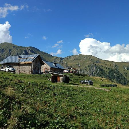 Casa Vacanze Lavanda & Rosmarino Telve Exteriör bild